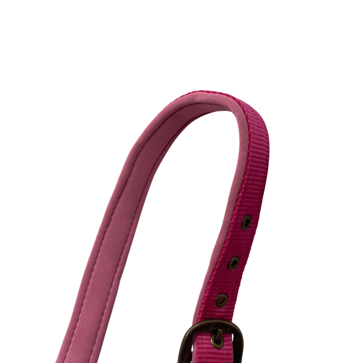 Neoprene Padded Halter and Lead Set