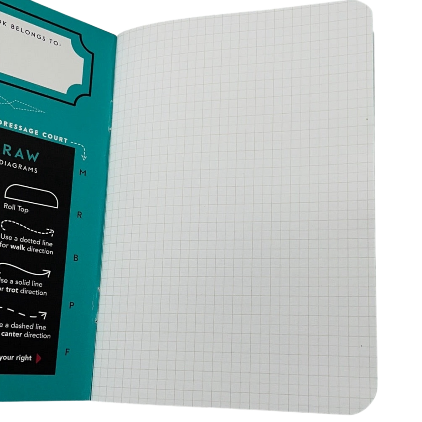 Little Black Book: Equestrian Notebook for Studying Courses