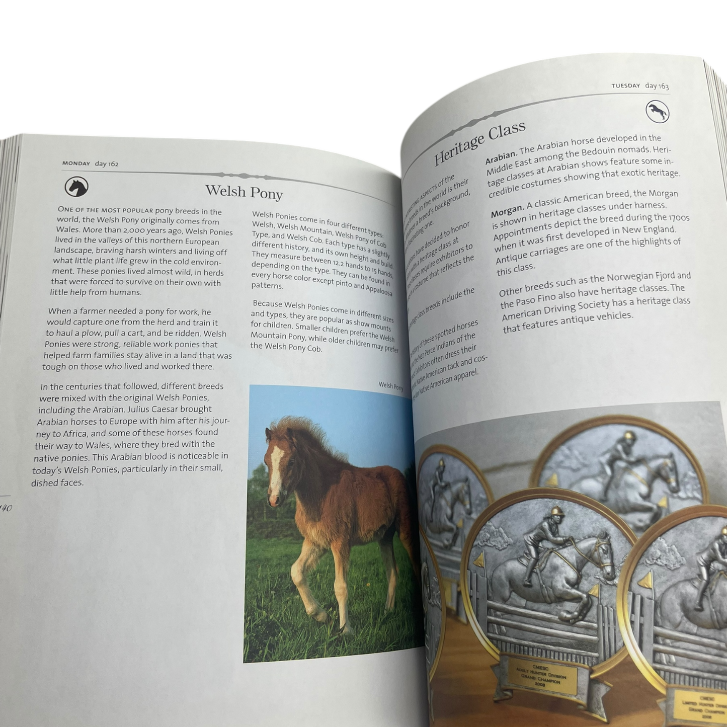 CONSIGNMENT "Horse Lover's Daily Companion" by Audrey Pavia