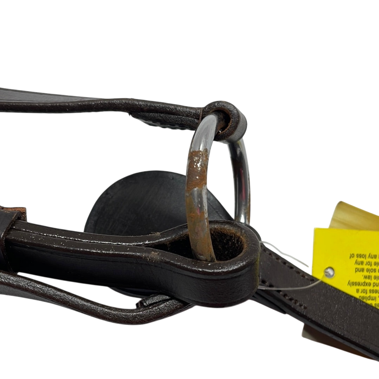 Breastplate and Martingale