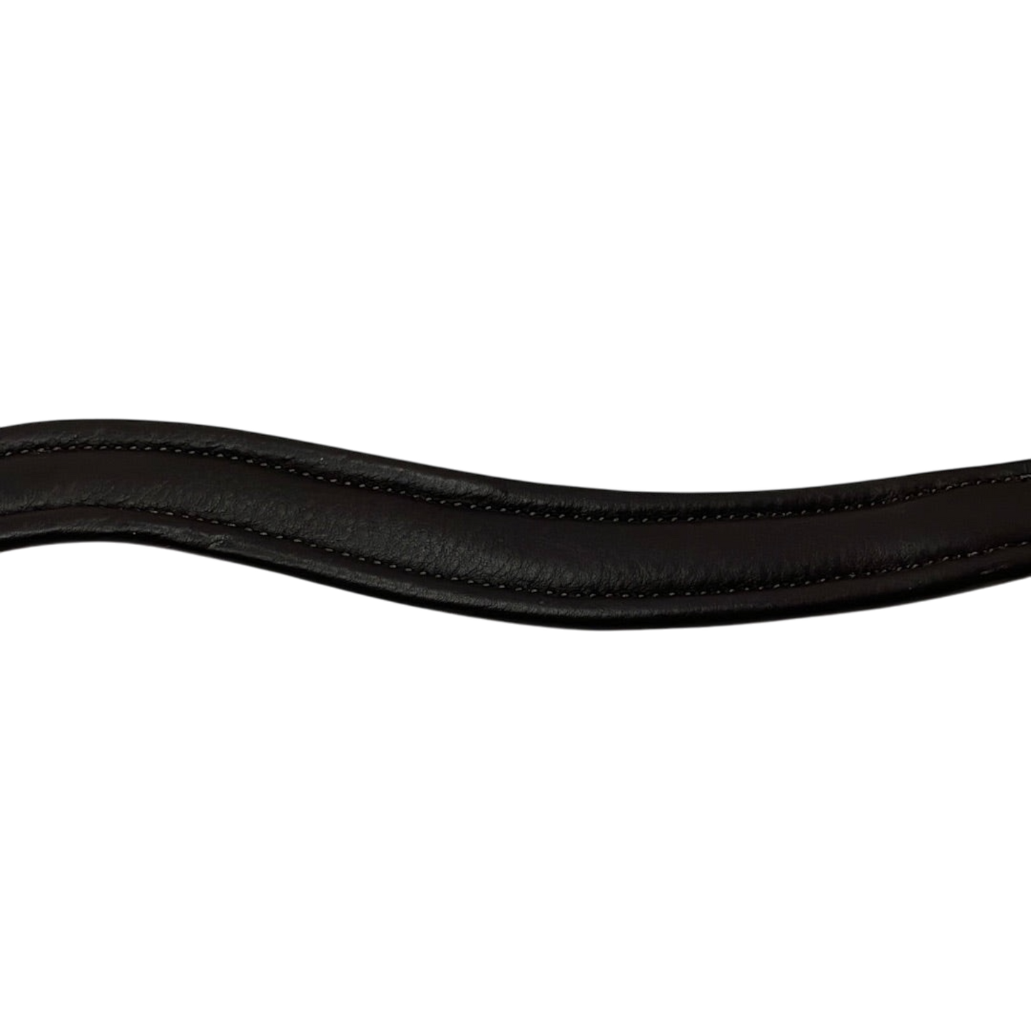 Browband-Cavalli Puri