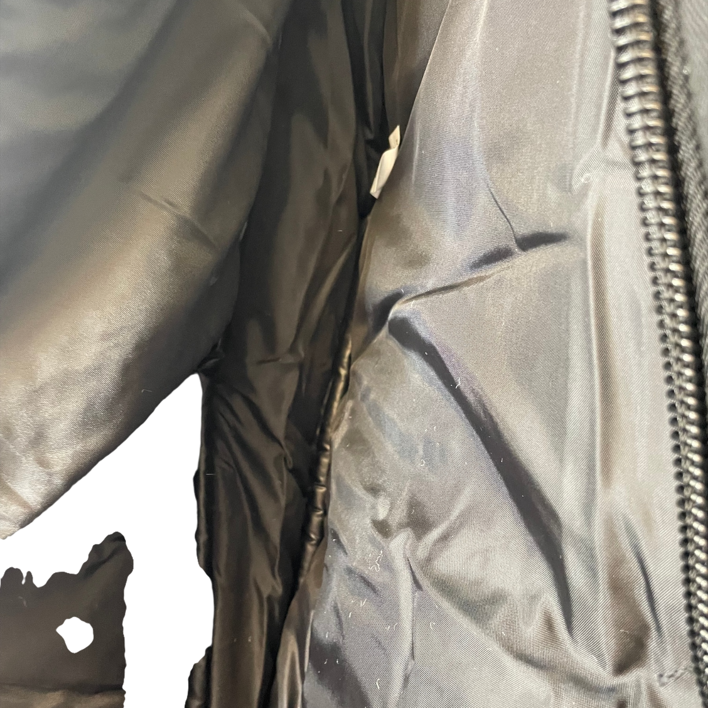 Deluxe Nylon Halter/Bridle Bag