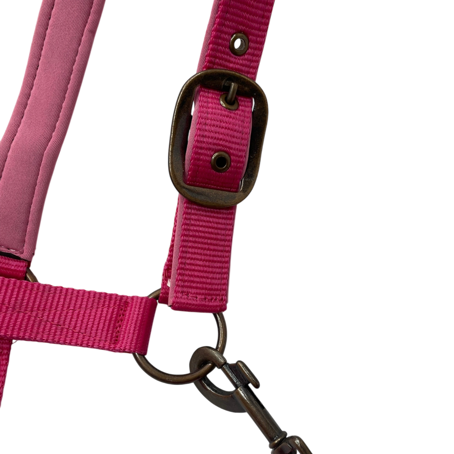 Neoprene Padded Halter and Lead Set