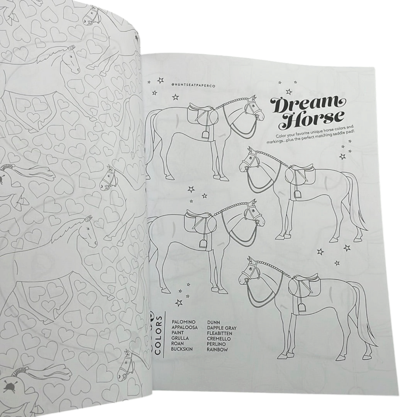 The Ultimate Equestrian Activity Book