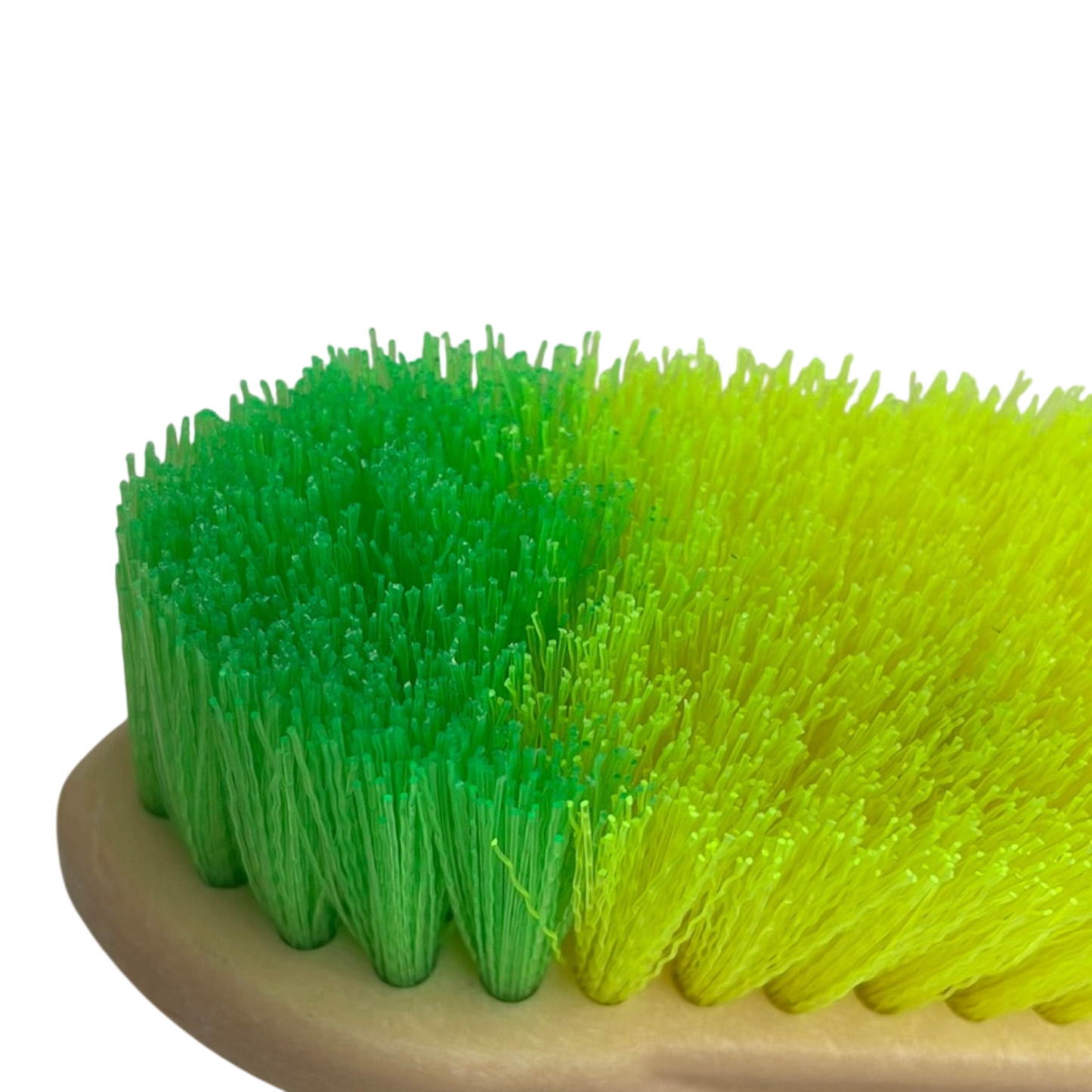 Neon Dandy Brush