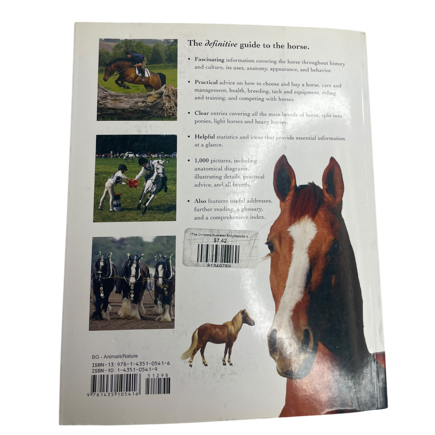 CONSIGNMENT "The Complete Illustrated Encyclopedia of Horses" by Catherine Austen