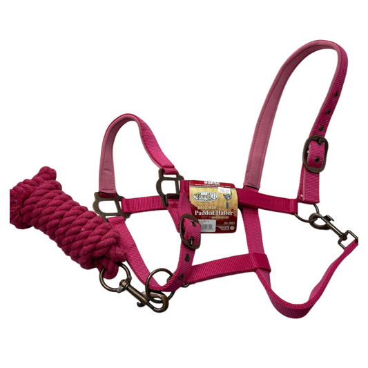 Neoprene Padded Halter and Lead Set