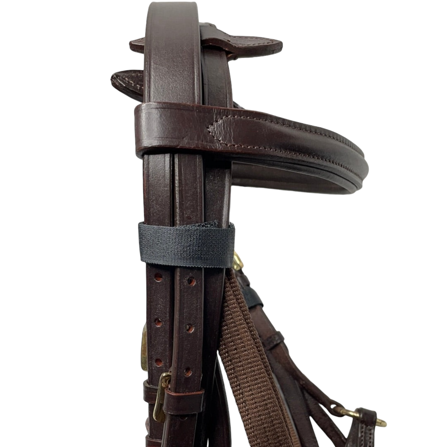 Quick Change Figure Eight Bridle