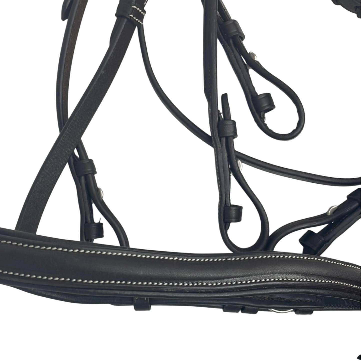 Ovation Havana Plain Raised Bridle