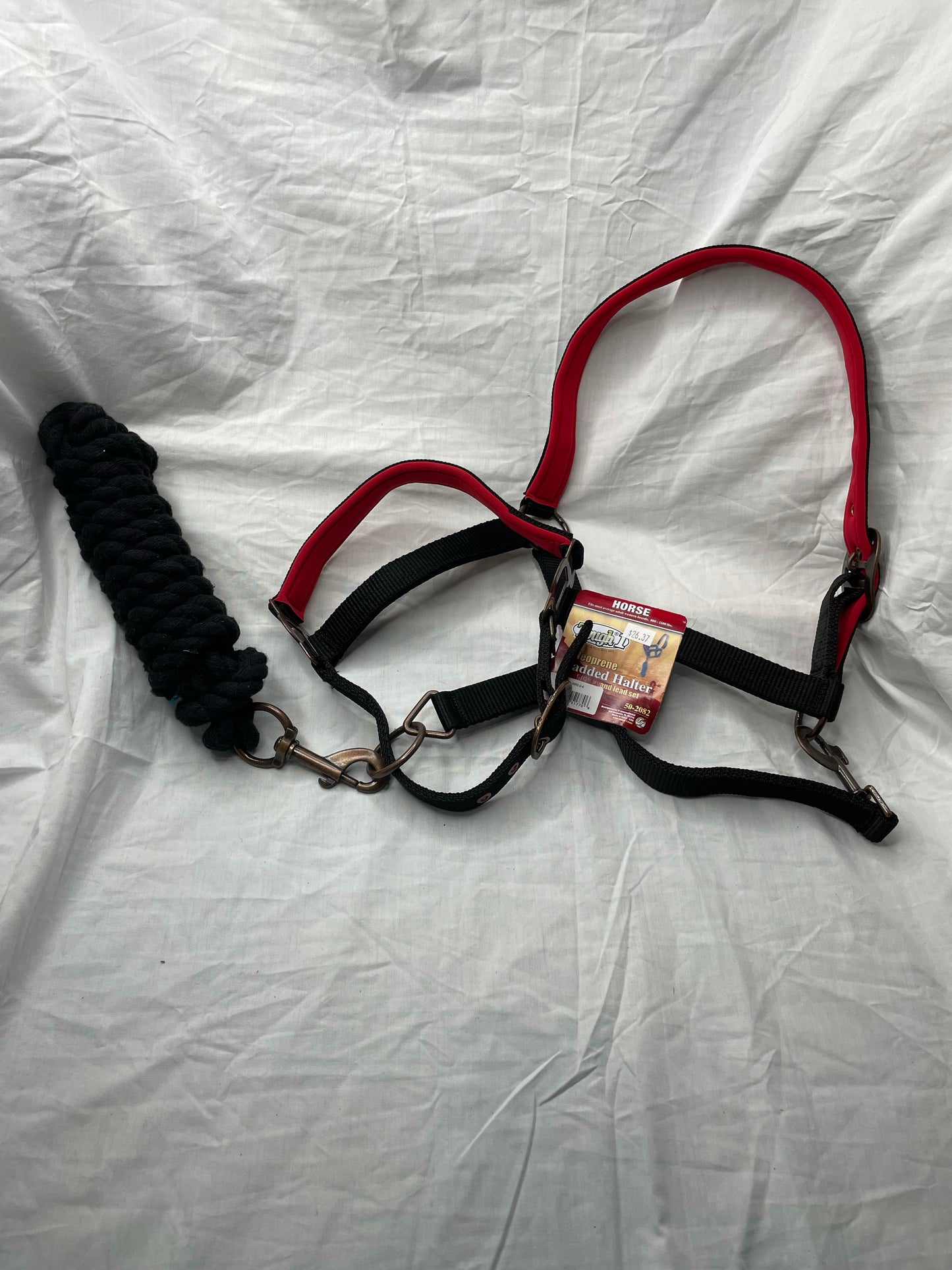 Neoprene Padded Halter and Lead Set