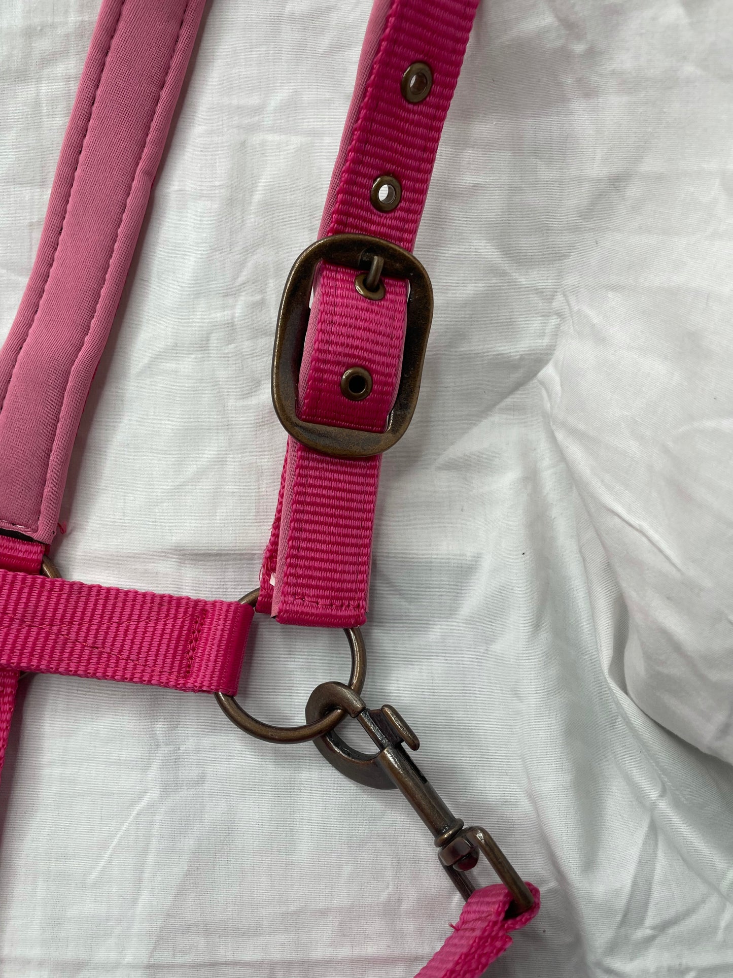 Neoprene Padded Halter and Lead Set