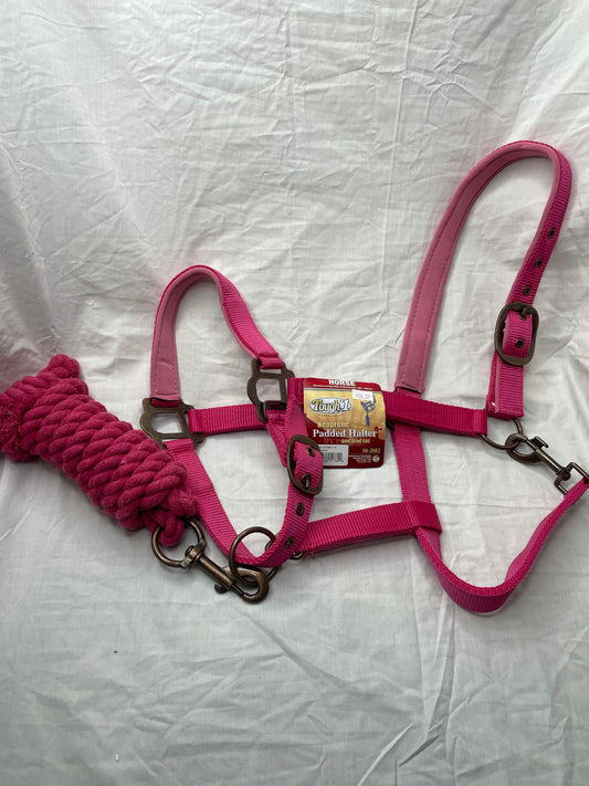 Neoprene Padded Halter and Lead Set